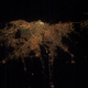 Image for article titled Can you recognize the world’s most famous cities from space?